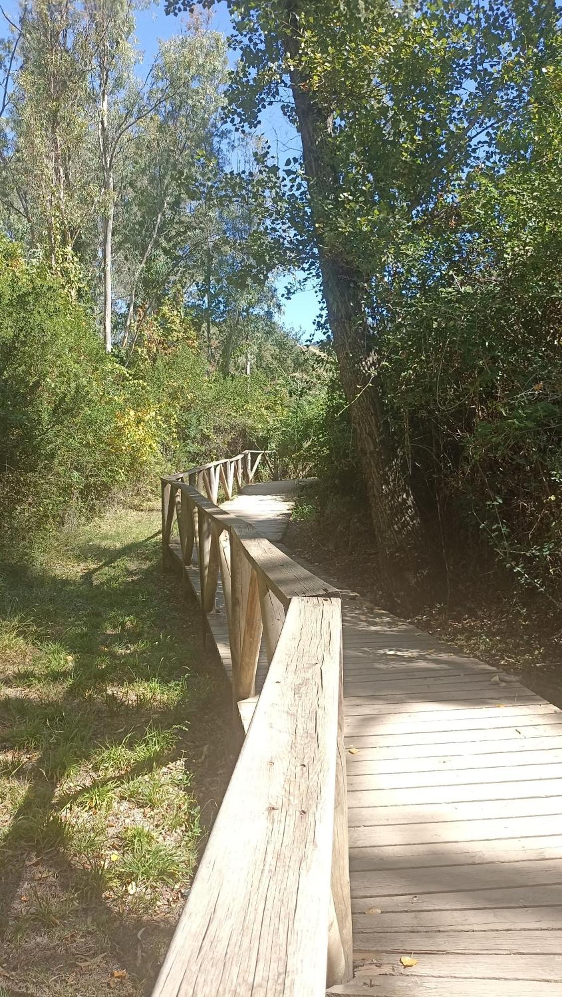 Azahares Turistico * El Bosque