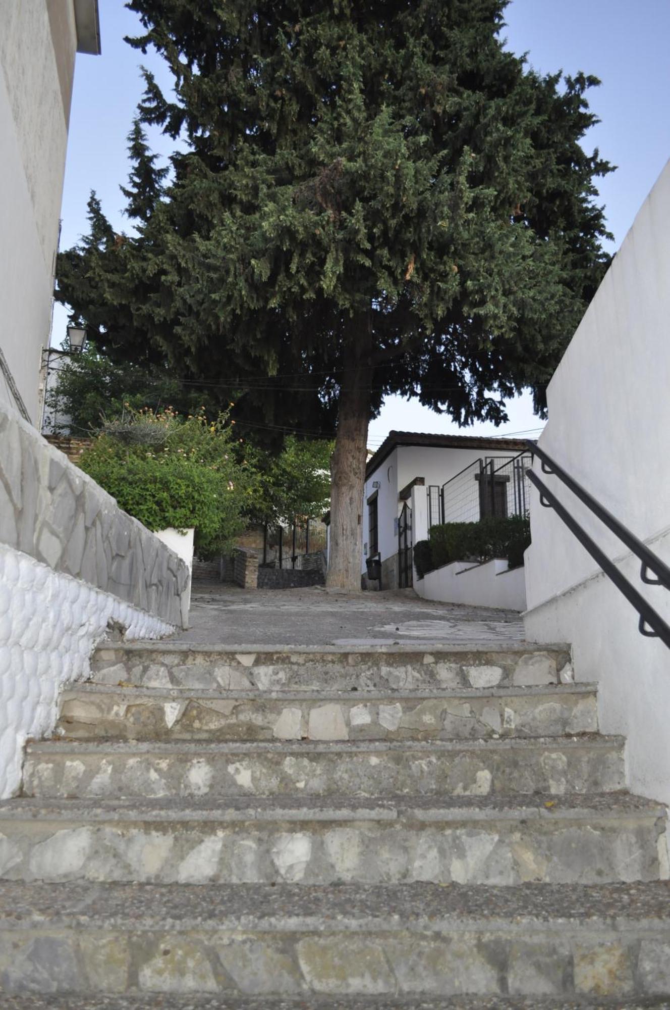 Azahares Turistico