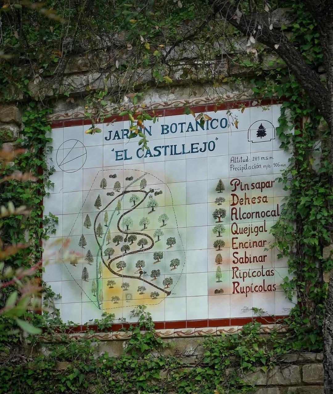Appartamento Azahares Turistico *